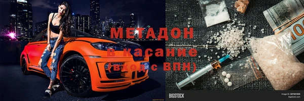 сатива Беломорск